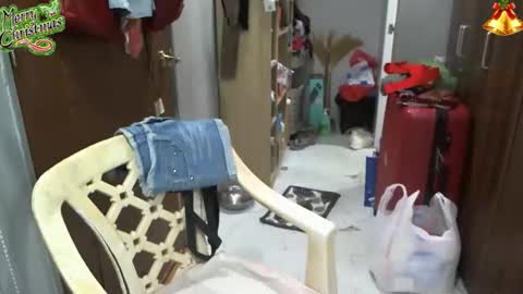 Snapshot of bigboobslyn chatting on December 2025 06:19:01 AM bigboobslyn online show from December 2025 06:19:01 AM