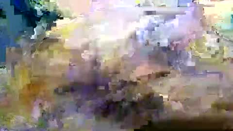 Snapshot of bigboybigbutt69 chatting on November 2025 12:05:01 PM bigboybigbutt69 online show from November 2025 12:05:01 PM