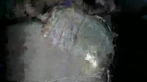 Snapshot of bigboybigbutt69 chatting on November 2025 12:02:02 PM bigboybigbutt69 online show from November 2025 12:02:02 PM