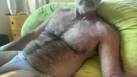 Snapshot of bigbush1 chatting on June 2026 12:31:01 AM big bush online show from June 2026 12:31:01 AM