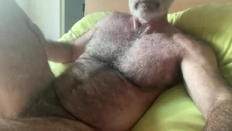 Snapshot of bigbush1 chatting on June 2026 02:05:01 AM big bush online show from June 2026 02:05:01 AM