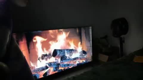 bigbuttsarena online show from June 2026 04:56:01 AM