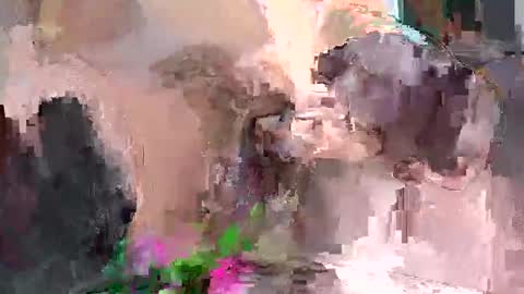 Artura online show from December 2024 07:19:02 PM