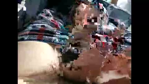 bigcock86420 online show from May 2026 06:58:01 PM