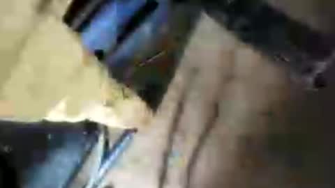 Snapshot of bigcockj808209 chatting on July 2026 04:28:01 AM bigcockj808209 online show from July 2026 04:28:01 AM