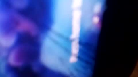 Rooster P online show from December 2024 11:08:02 AM