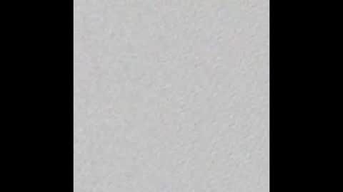 Bullforthecucks online show from February 2025 10:33:02 AM