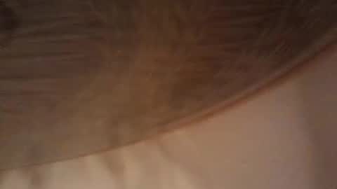 bigdmrp69 online show from January 2025 03:44:02 PM