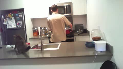 BigWilly online show from October 2025 09:54:02 PM