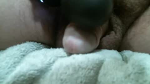 BigDog online show from April 2026 07:36:01 PM