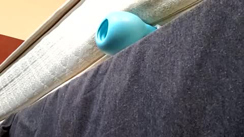 Snapshot of biggdaddyy5 chatting on January 2025 02:05:01 PM biggdaddyy5 online show from January 2025 02:05:01 PM