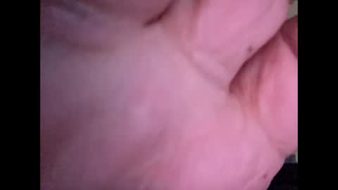 bigguunn online show from March 2026 11:33:01 PM