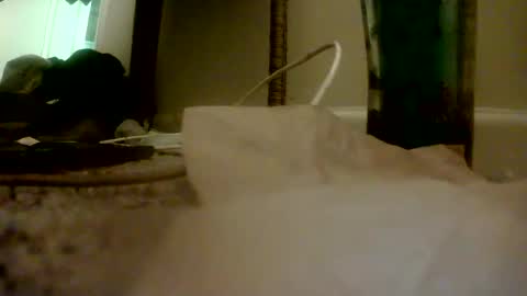 Snapshot of bigguypete1999 chatting on November 2025 01:55:02 AM Peter Paul online show from November 2025 01:55:02 AM