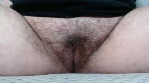 Snapshot of bighairyabby chatting on November 2025 04:07:02 PM Abby online show from November 2025 04:07:02 PM