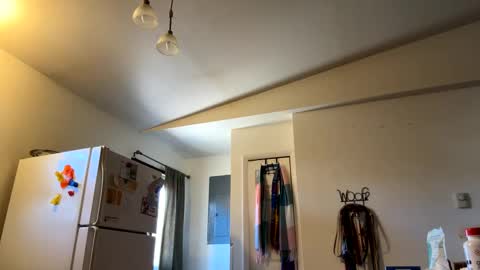 Daniel  Noelia online show from February 2025 07:04:02 PM