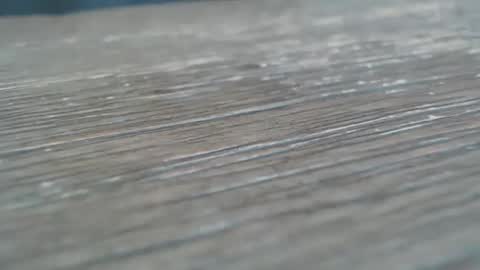 Snapshot of bigjohn890 chatting on October 2025 02:16:02 PM Big Jon online show from October 2025 02:16:02 PM