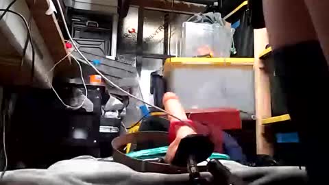 bigmanaround9 online show from March 2025 08:45:01 AM