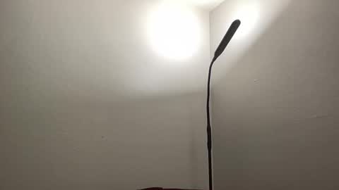 Snapshot of bigmcr1 chatting on January 2025 01:20:01 AM Nick Barker online show from January 2025 01:20:01 AM