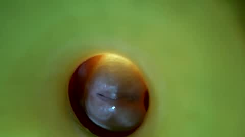 bigmoneycorey online show from March 2026 06:56:01 PM