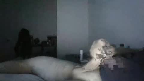 BigO online show from December 2024 08:23:02 AM