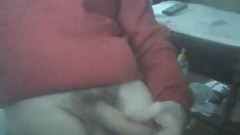 Snapshot of bigpenix chatting on June 2026 01:32:02 AM bigpenix online show from June 2026 01:32:02 AM
