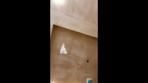 bigpoppa69999 online show from January 2025 02:30:02 PM