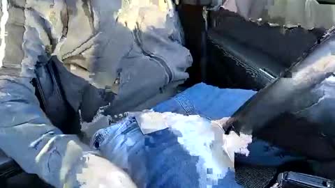 Snapshot of bigredmushr00m chatting on December 2024 10:39:02 AM bigredmushr00m online show from December 2024 10:39:02 AM