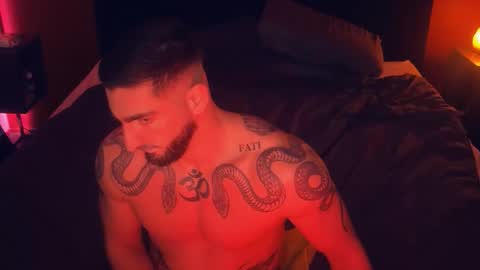 Gogo online show from January 2026 03:49:02 PM