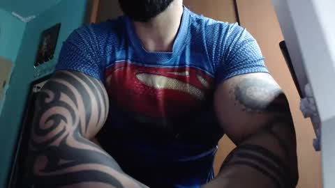 BigStallion online show from November 2025 11:59:02 PM