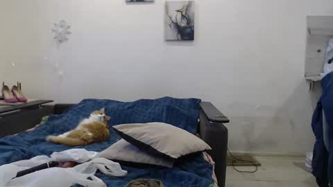 BigTwinsOmg online show from November 2025 06:40:02 AM