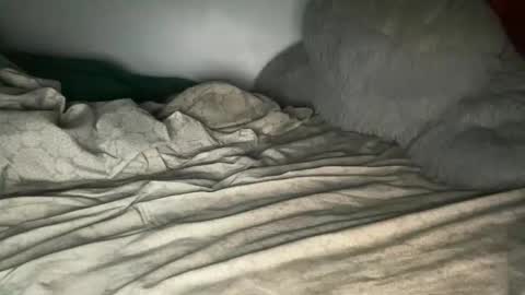 Bigwebone online show from March 2026 05:29:01 AM