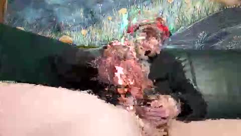 bigwytecock1979 online show from April 2026 06:32:02 PM