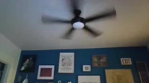 billjames55 online show from April 2026 11:42:02 AM