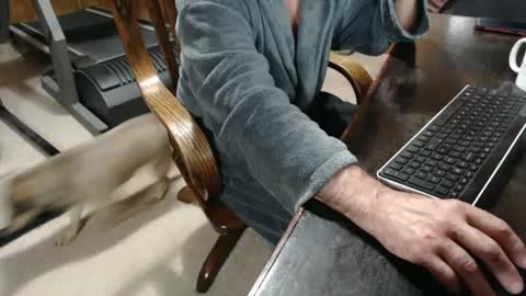 Snapshot of billy471 chatting on February 2025 10:28:02 AM billy471 online show from February 2025 10:28:02 AM