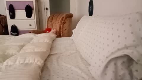 Bill online show from September 2025 08:05:02 AM