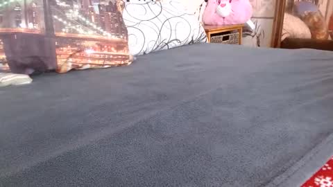 Bill online show from February 2026 12:56:02 PM