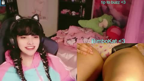 BimboCat online show from July 2026 08:24:02 PM