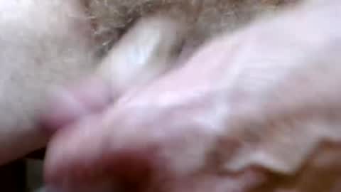 Snapshot of bitexan69 chatting on September 2025 09:21:02 AM bitexan69 online show from September 2025 09:21:02 AM