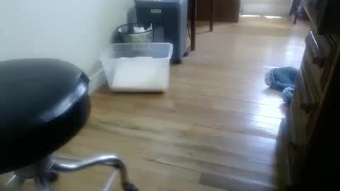 Snapshot of bitexan69 chatting on September 2025 05:07:01 PM bitexan69 online show from September 2025 05:07:01 PM