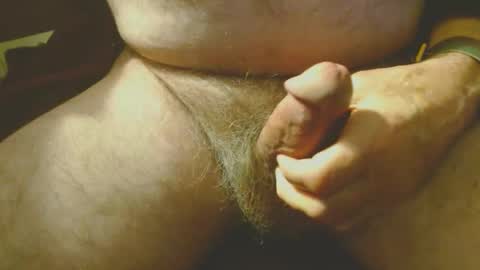 Bill online show from February 2025 04:21:02 PM