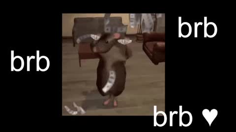  Black Kittie    Wednesday - 1300 - 1900 GMT help me get 100 thumbs up online show from November 2025 07:12:01 PM