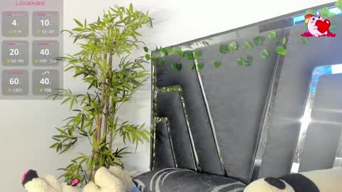 B L A C K  R O S E  online show from February 2025 11:34:02 AM