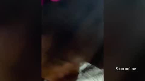 Lilly and Bryson online show from December 2025 03:58:02 AM