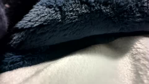 Snapshot of blackhammer8787 chatting on December 2024 06:43:02 AM blackhammer8787 online show from December 2024 06:43:02 AM