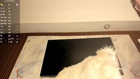 Karina online show from February 2026 06:26:01 AM