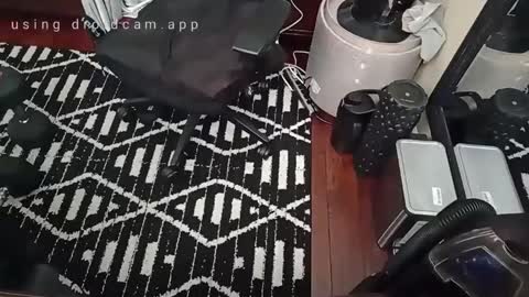 Snapshot of blakjag chatting on February 2025 07:49:01 PM Blackjag00 online show from February 2025 07:49:01 PM