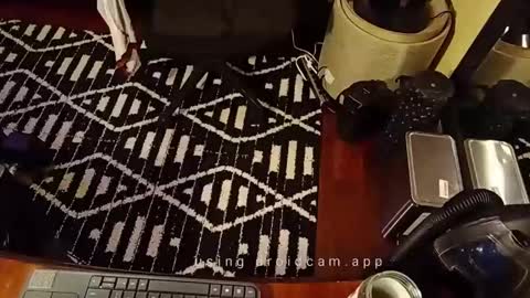 Snapshot of blakjag chatting on February 2025 07:06:02 AM Blackjag00 online show from February 2025 07:06:02 AM