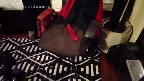 Snapshot of blakjag chatting on February 2025 10:06:02 AM Blackjag00 online show from February 2025 10:06:02 AM