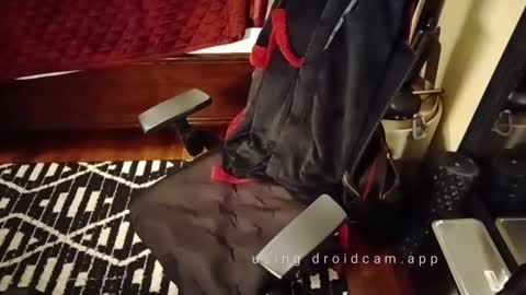 Snapshot of blakjag chatting on March 2025 09:22:01 AM Blackjag00 online show from March 2025 09:22:01 AM