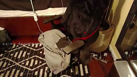 Snapshot of blakjag chatting on March 2025 09:26:02 PM Blackjag00 online show from March 2025 09:26:02 PM